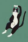 Black And White Cat Art Print