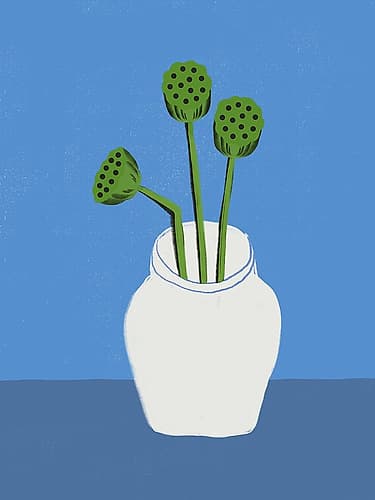 Dried lotus Minimalist Print