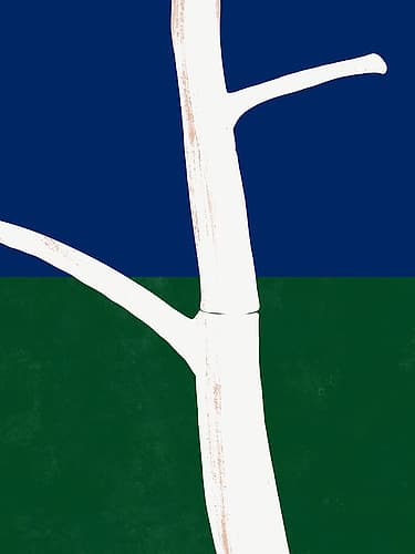 White Bark Minimalist Print
