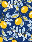 Italien Lemons 2 Art Print