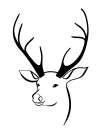 Reindeer head Art Print