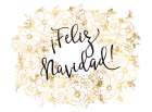 Feliz Navidad with golden flowers Art Print