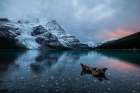 Mount Robson Art Print