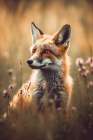 Fox Art Print