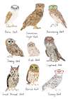 Owls In Glasses Print Art Print