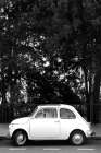 Mini Car Baw Art Print