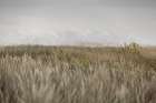 Dunes And Clouds 2 Art Print