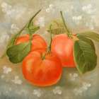 Mandarins Art Print