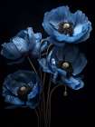 Poppies 6 Art Print