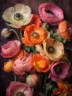 Poppies 13 Art Print