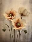 Poppies 29 Art Print