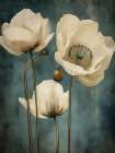 Poppies 31 Art Print