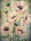 Poppies 38 Art Print