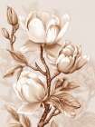 Beige Flowers 2 Art Print