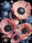 Pink Floral 1 Art Print