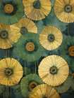 Poppies 14 Art Print