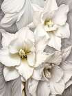 White Flowers 1 Art Print