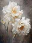 White Flowers 2 Art Print