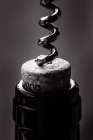 Wine 002 Baw Art Print