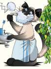 Cat Shaving In the Bath Art Print