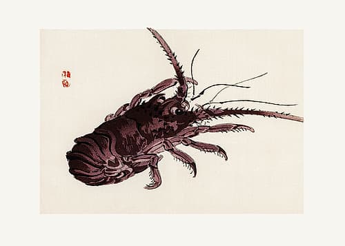 Crayfish Art Print