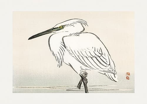 Snowy Egret Minimalist Print