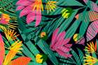 Wild Tropics Wide Art Print