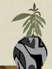 Fiddle Fig indoor plant Kitchen Print