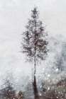 Woven natural dreams Art Print