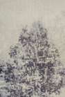 Misty tree Art Print