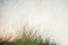 Moving landscape Art Print