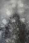Moody tree Landscape Print