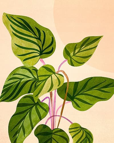 Thriving In the Sun V2 Art Print