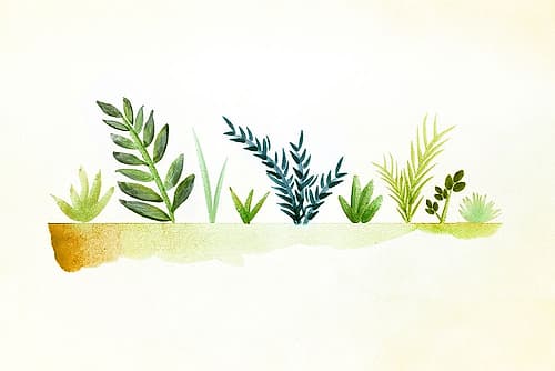 Tiny Garden Art Print