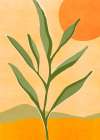 Baby Olive Tree Art Print