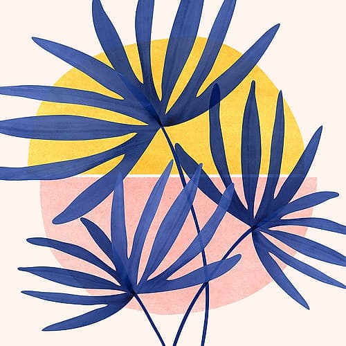 Fan Palm 1 Art Print