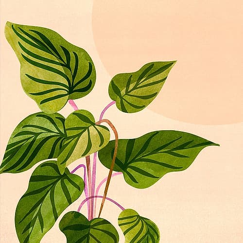 Thriving In the Sunsq Nature Print
