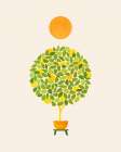 Sunshine and Lemons 4x5 Art Print