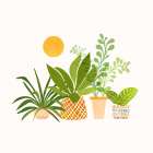 Happy Tropicals Sq Kitchen Print