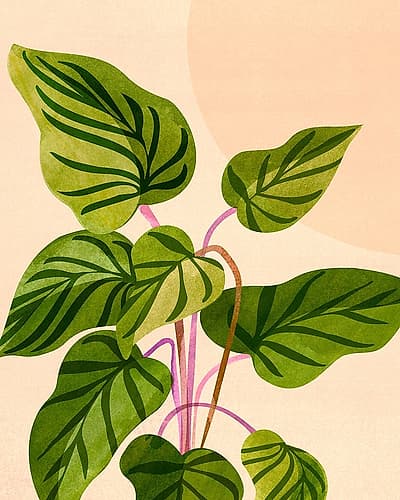 Thriving In the Sun Art Print