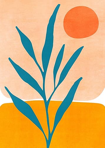 Exploringthesw Art Print
