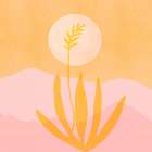 Golden Agave Sunset Sq Art Print