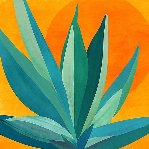 West Coast Sunset Art Print