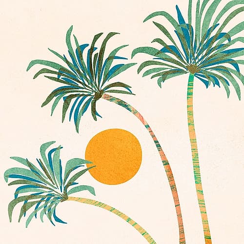 Socal Palms 3 Art Print