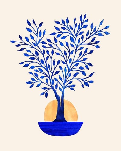 Indigo Ficus Sunrise Art Print