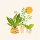 Plant Group 3 Kitchen Print