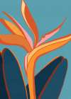 Bird of Paradise 5x7 Art Print