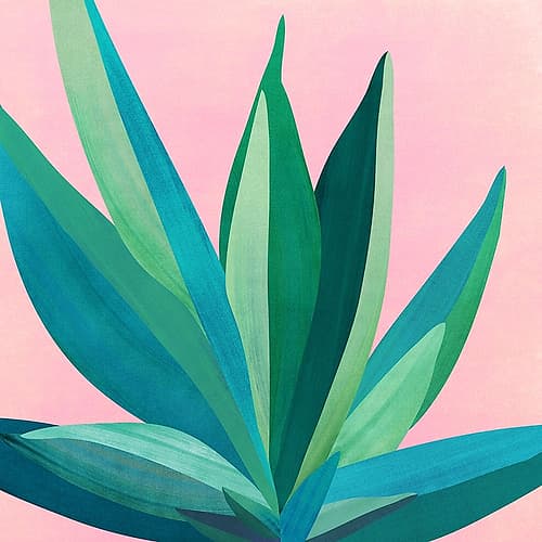 Colorful Agave 4 Art Print