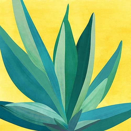Colorful Agave 5 Art Print