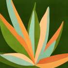 Colorful Agave 3 Art Print